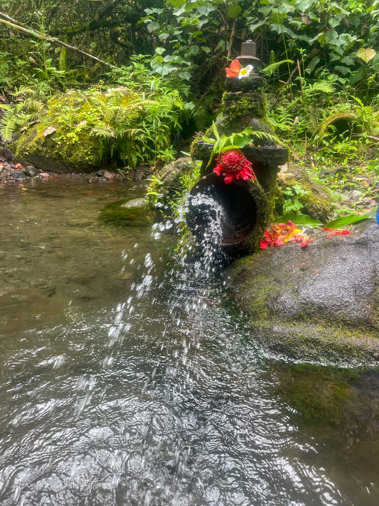 Makaleha Springs, Kauai