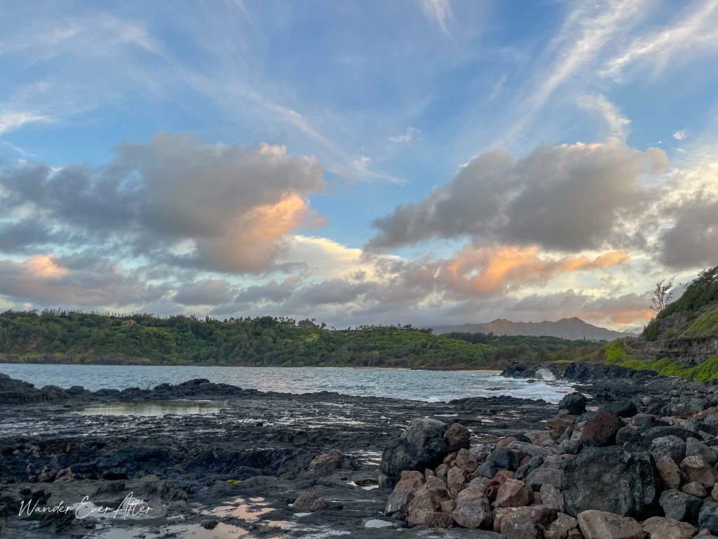 Mokolea Pools, Lava Tide Pool Kauai