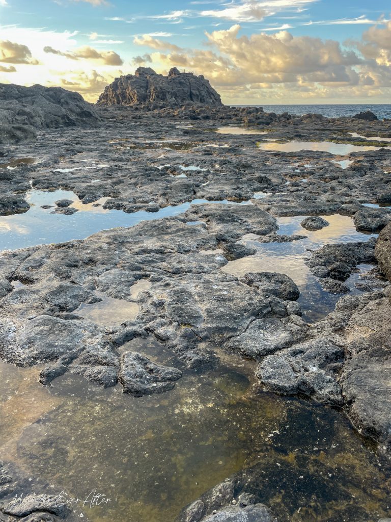 Mokolea Pools, Lava Tide Pool Kauai